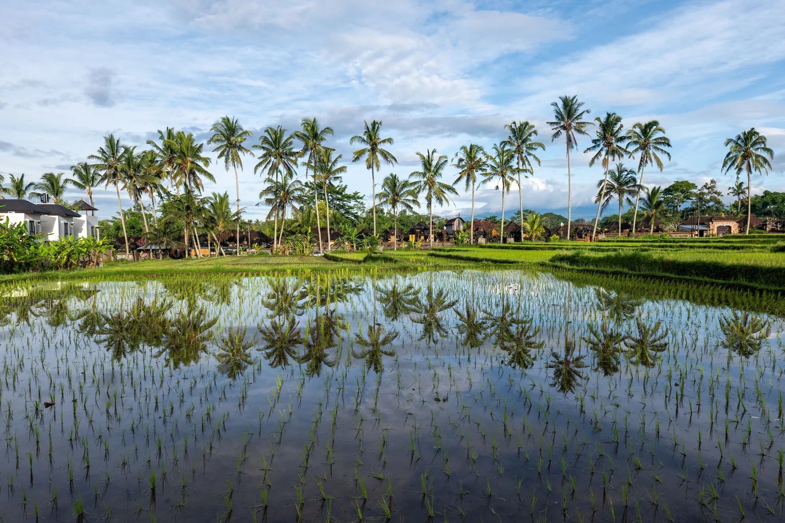 North Bali vs South Bali: Which Pocket Suits Your Second Home?
