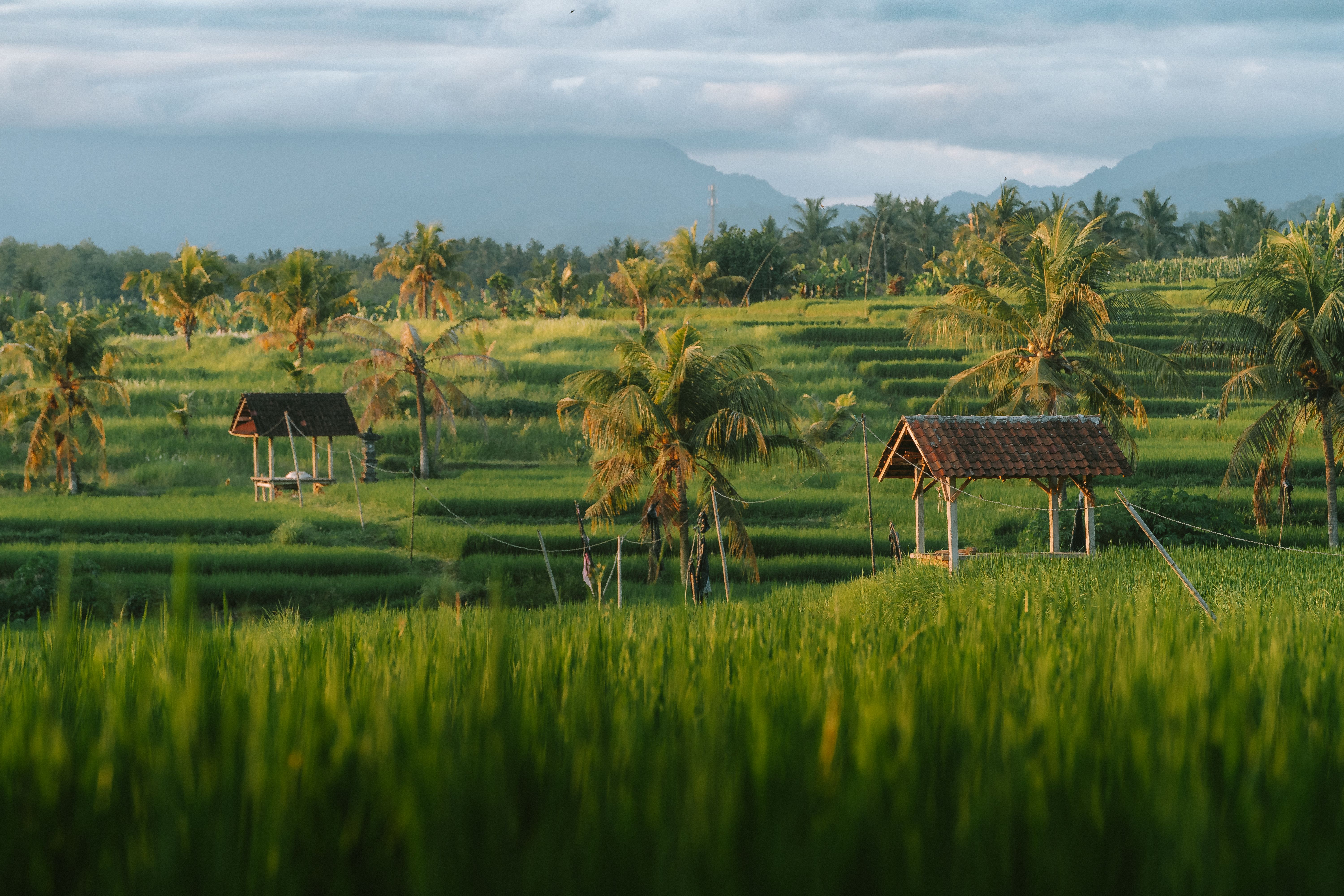 Using the LRS to Buy Property Abroad: A Practical Guide for Indian Buyers