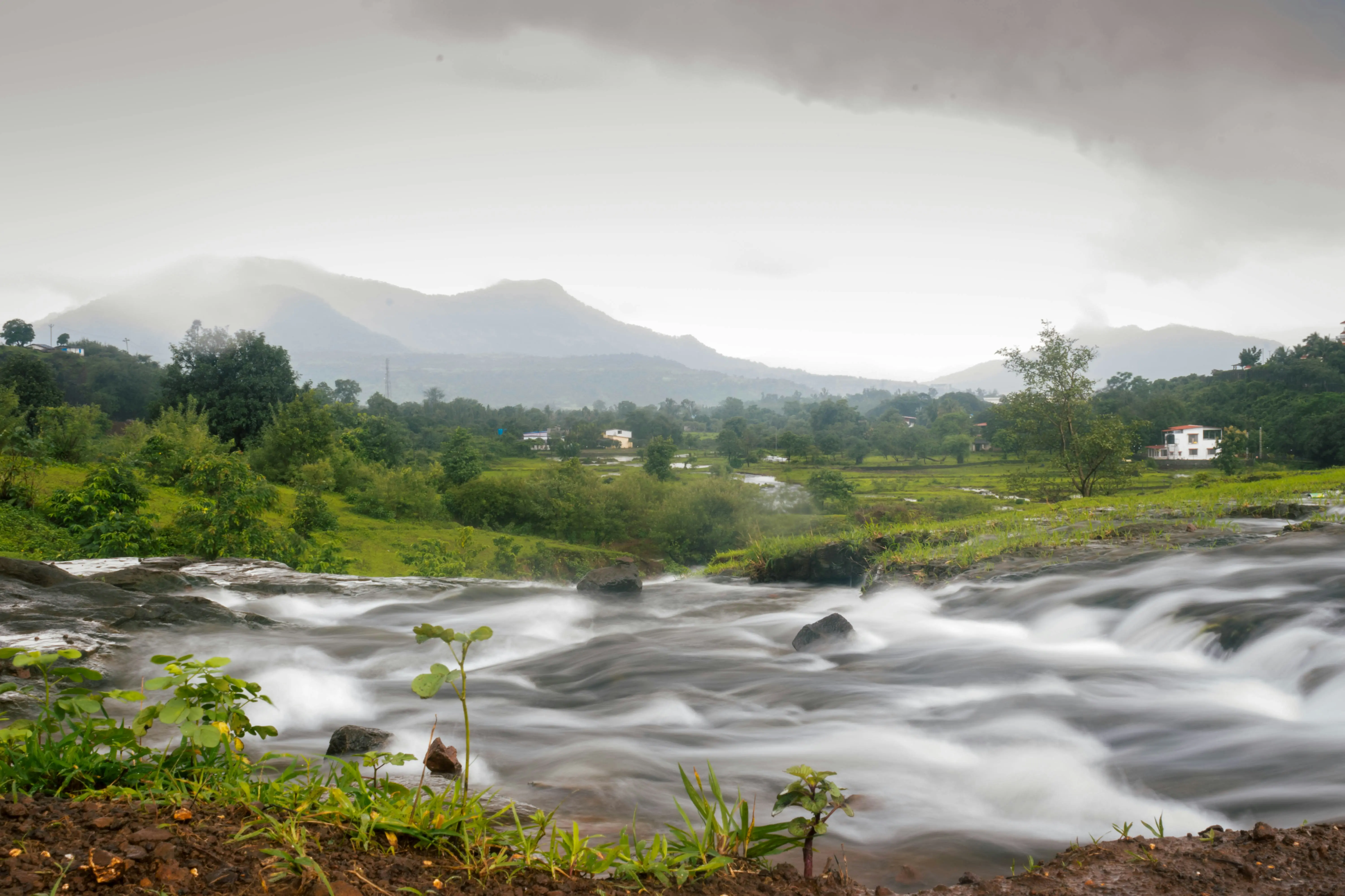 NA Plot vs Agricultural Land: Which Should You Actually Buy?