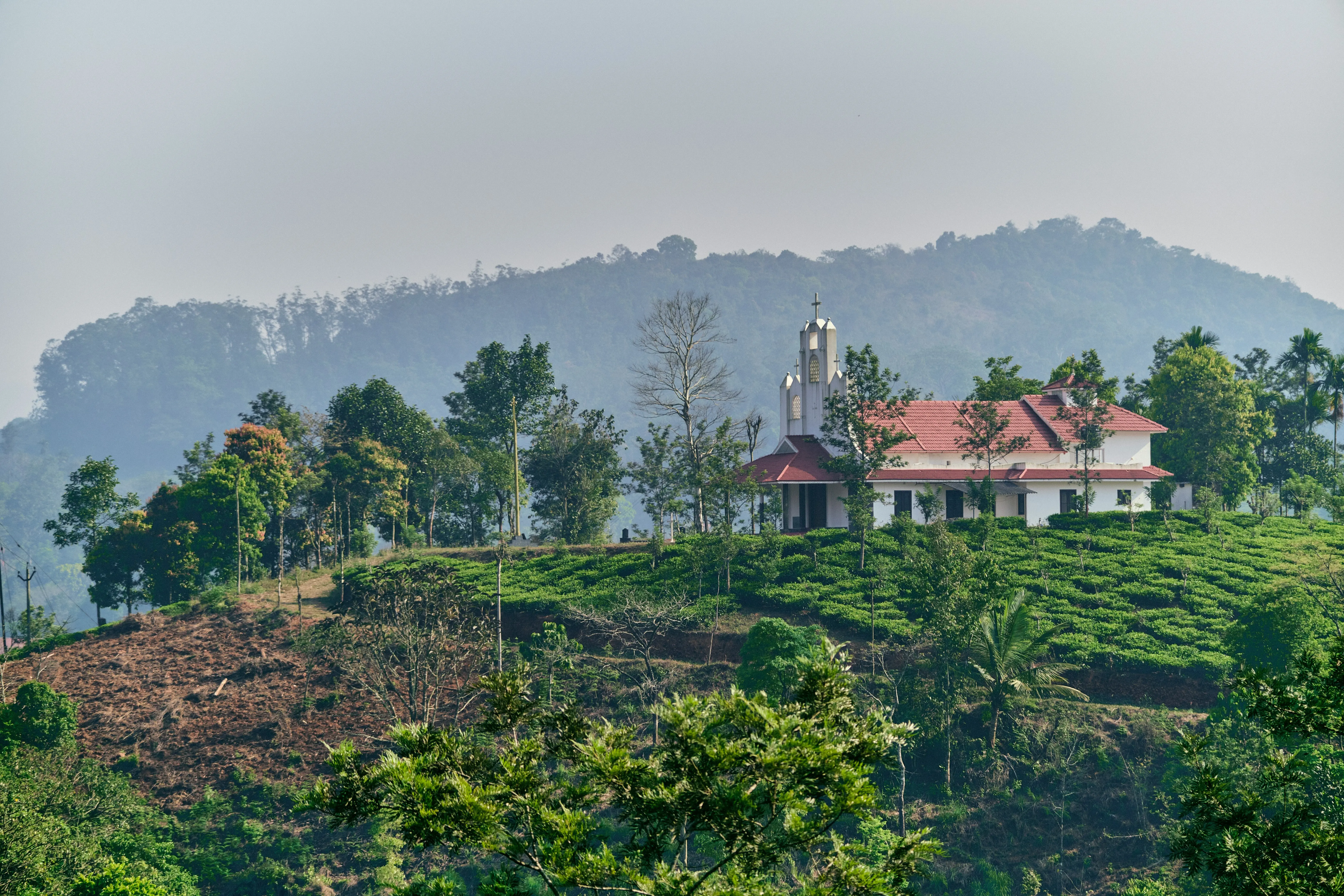 Can NRIs Buy NA Plots in India? Rules, FEMA & Repatriation