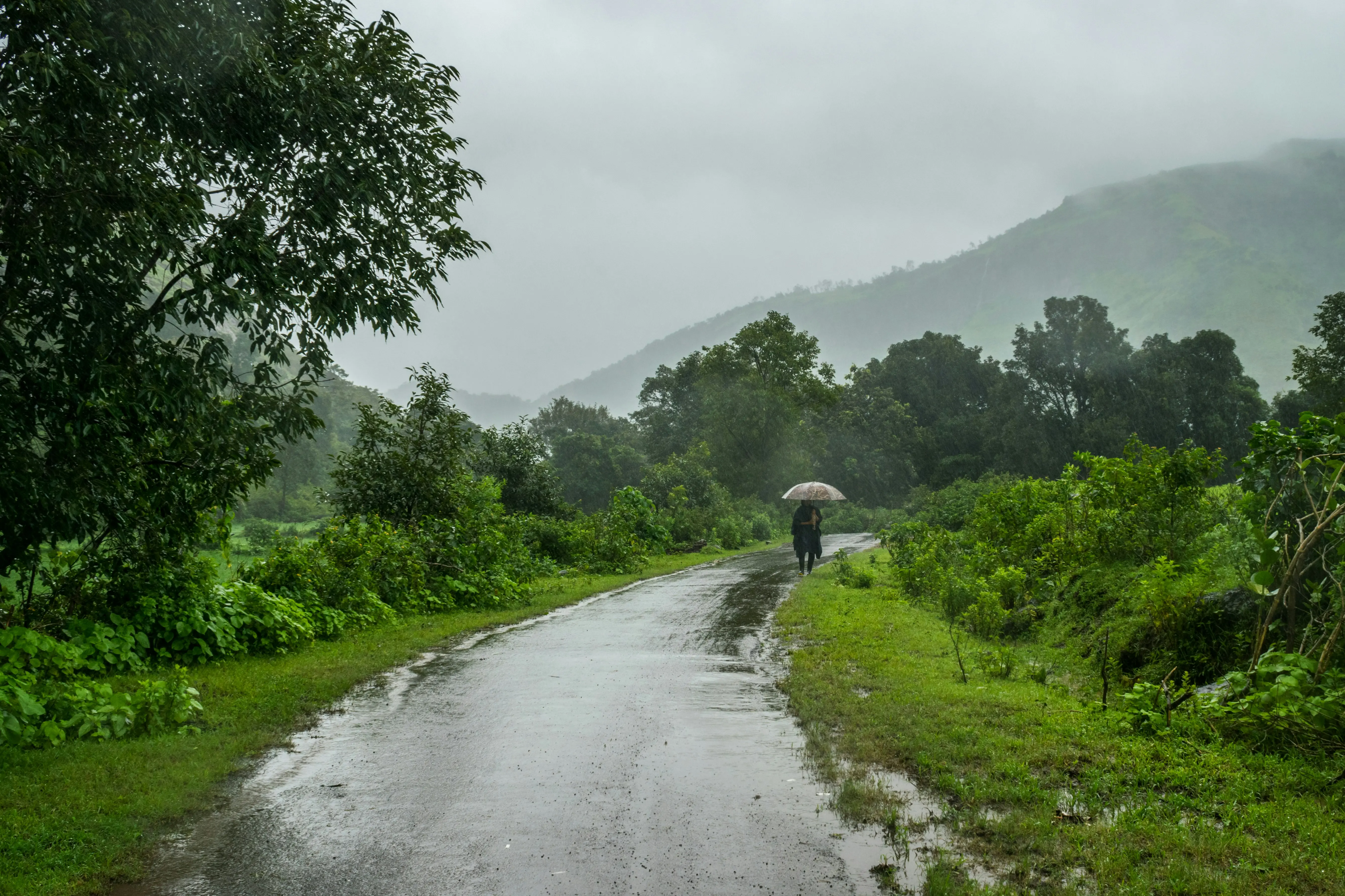 The Monsoon Experience in Karjat: Rivers, Waterfalls and Green Hills