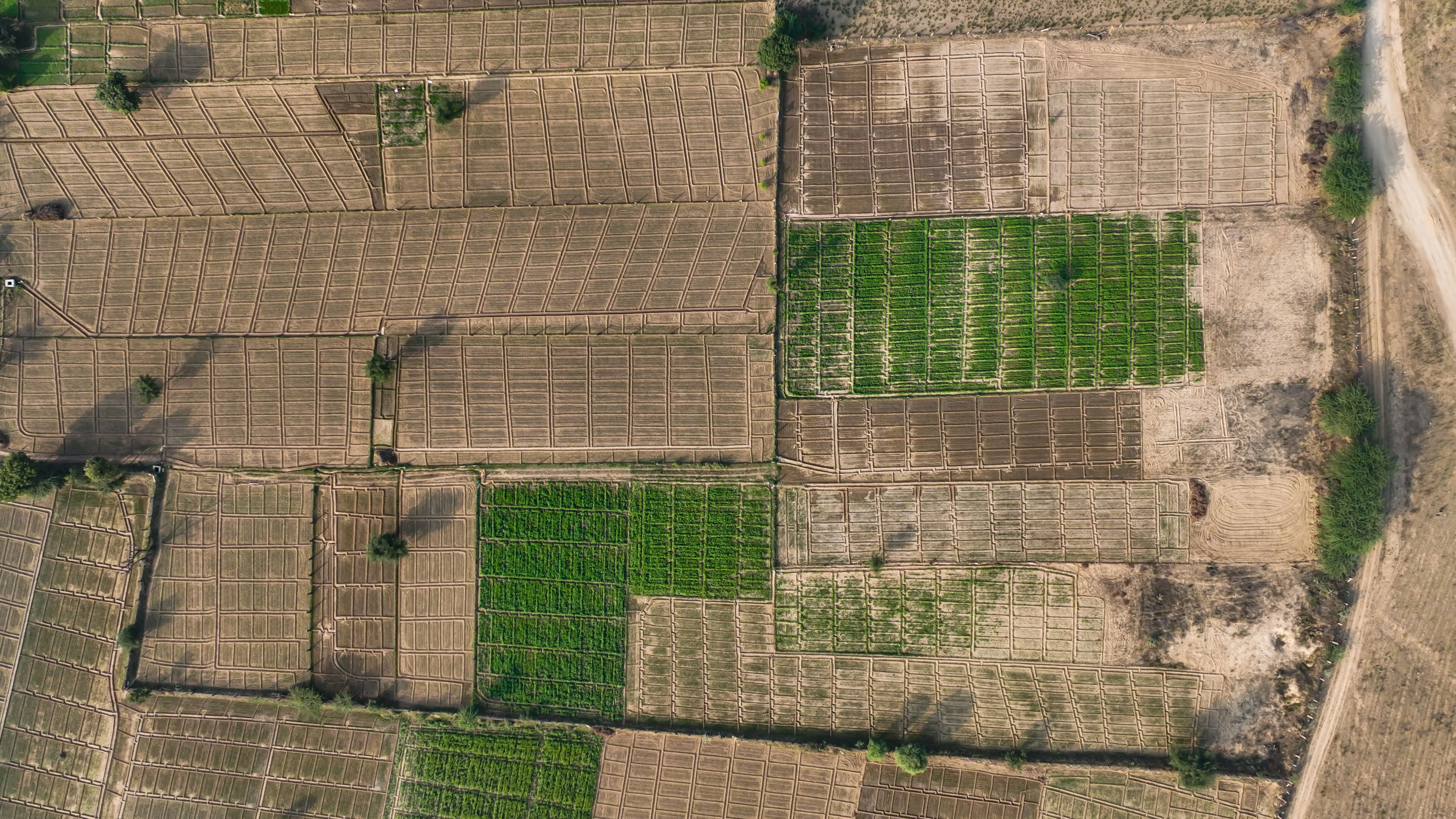 Total Cost of Ownership: NA Plot vs Agricultural Land Over 10 Years
