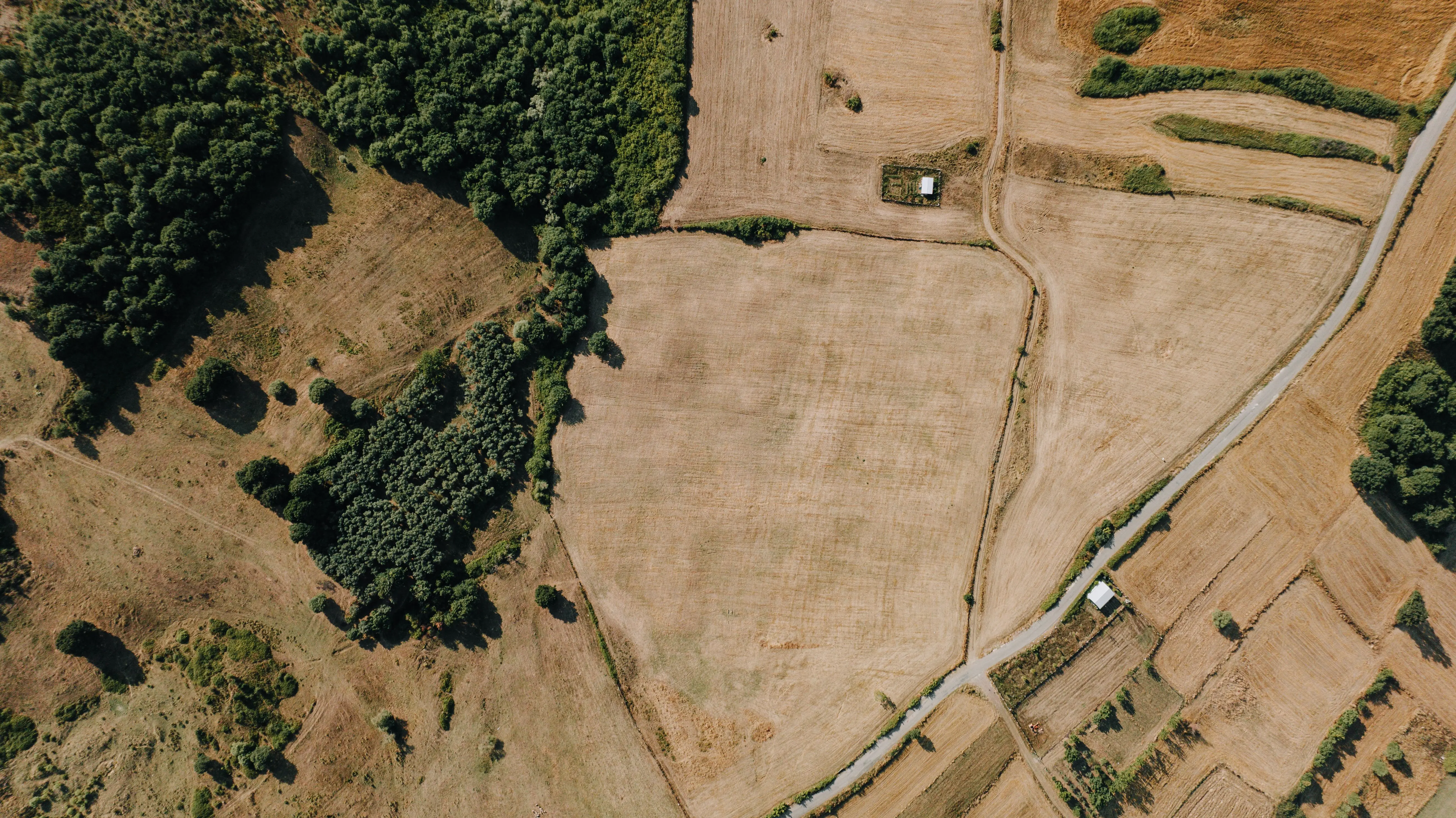Converting Agricultural Land to NA: Process, Cost & Timeline