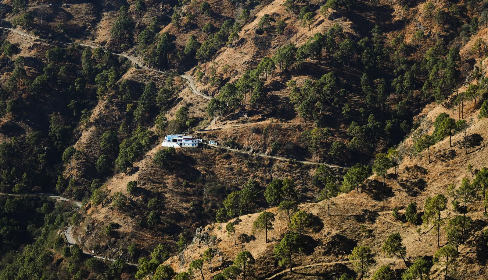 Kasauli Through the Year: Pine, Monsoon and the Winter Light