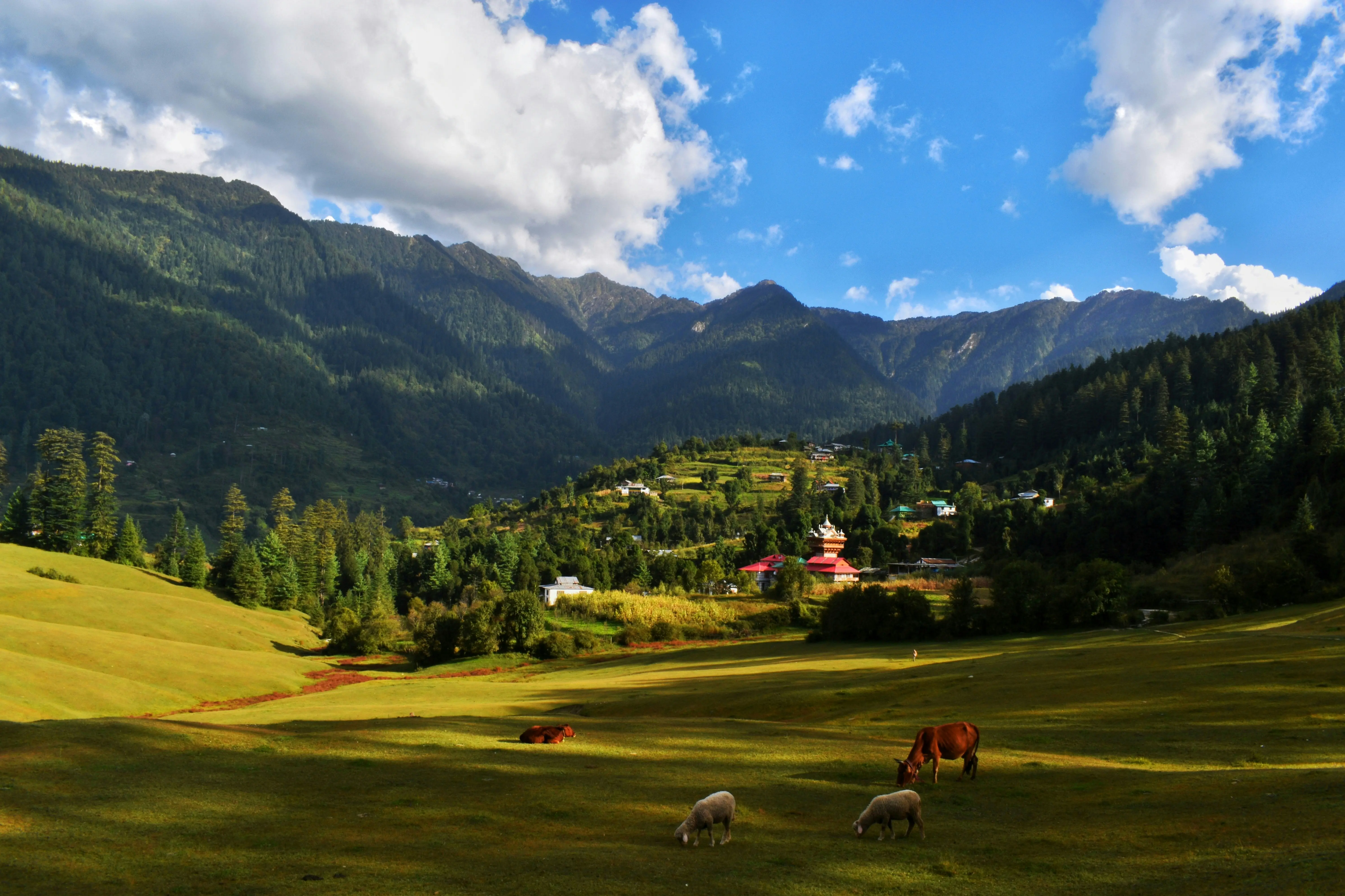 Section 118: Why Most Outsiders Cannot Buy Land in Himachal