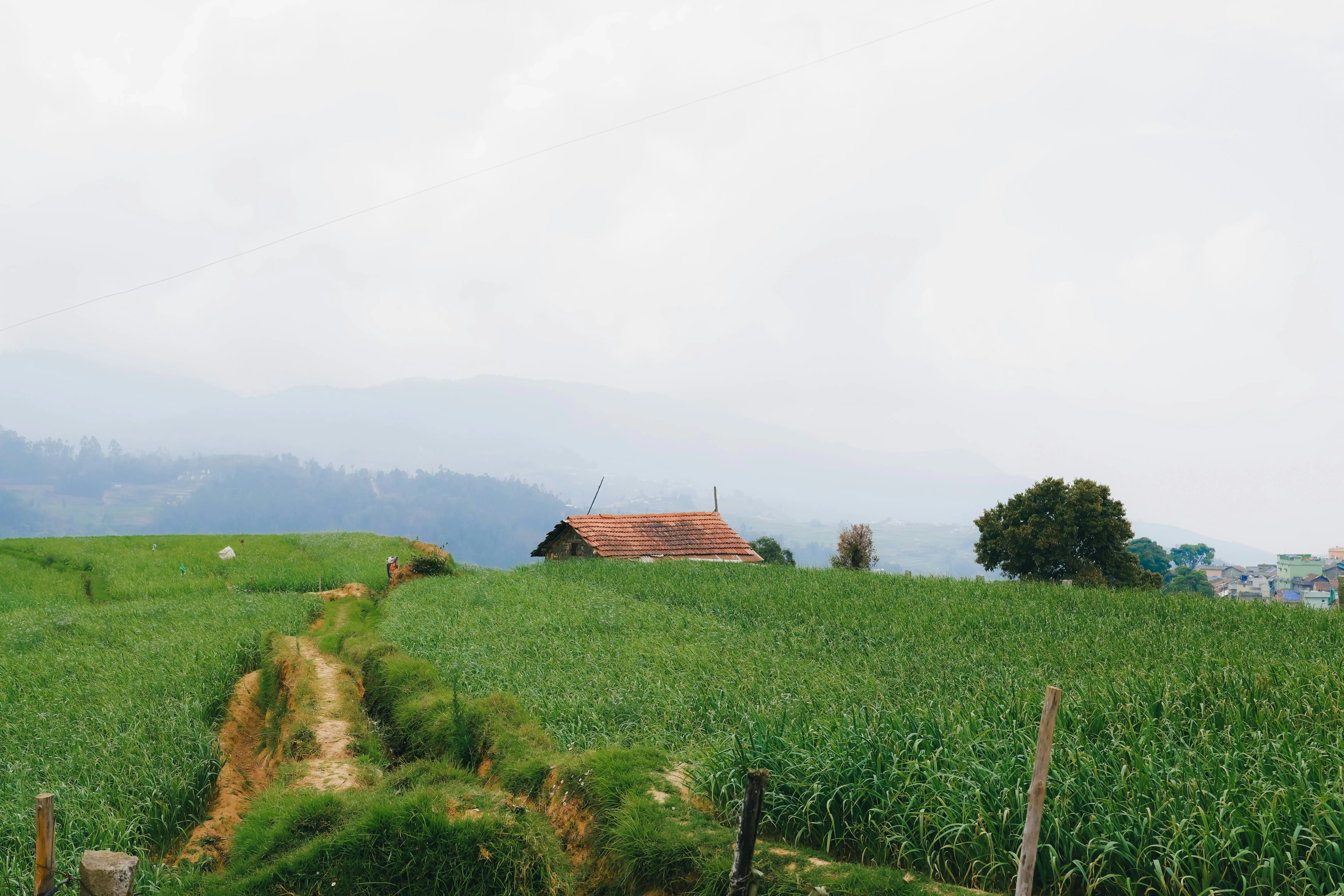 Myth-Busting: 'Agricultural Land Is Always a Bad Buy'