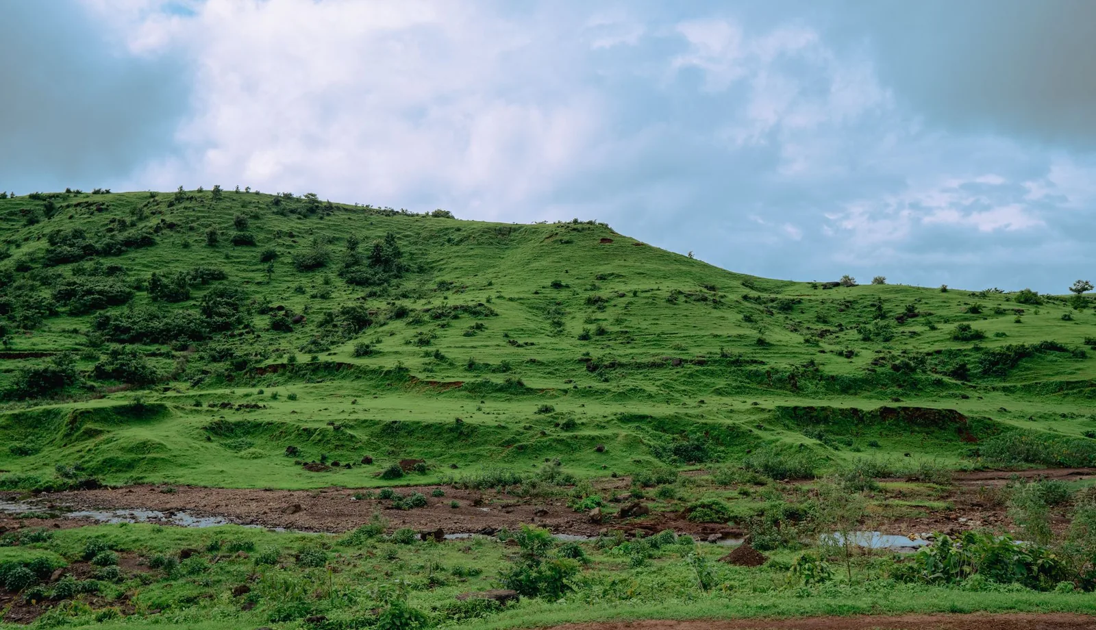 Neighbourhood Guide: Ghoti and the Kasara Approach