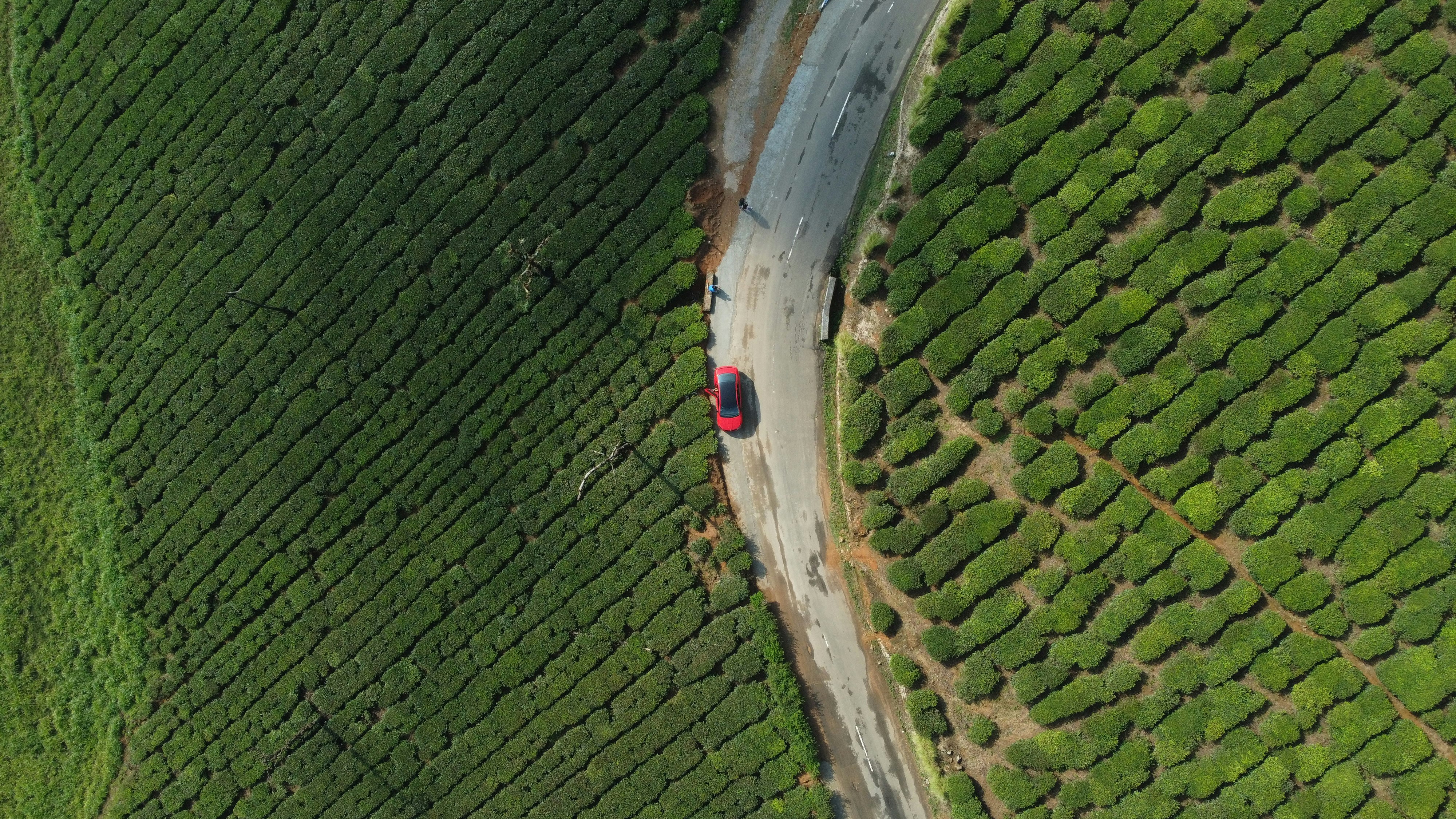 Is Coorg a Good Investment in 2026? An Honest Take