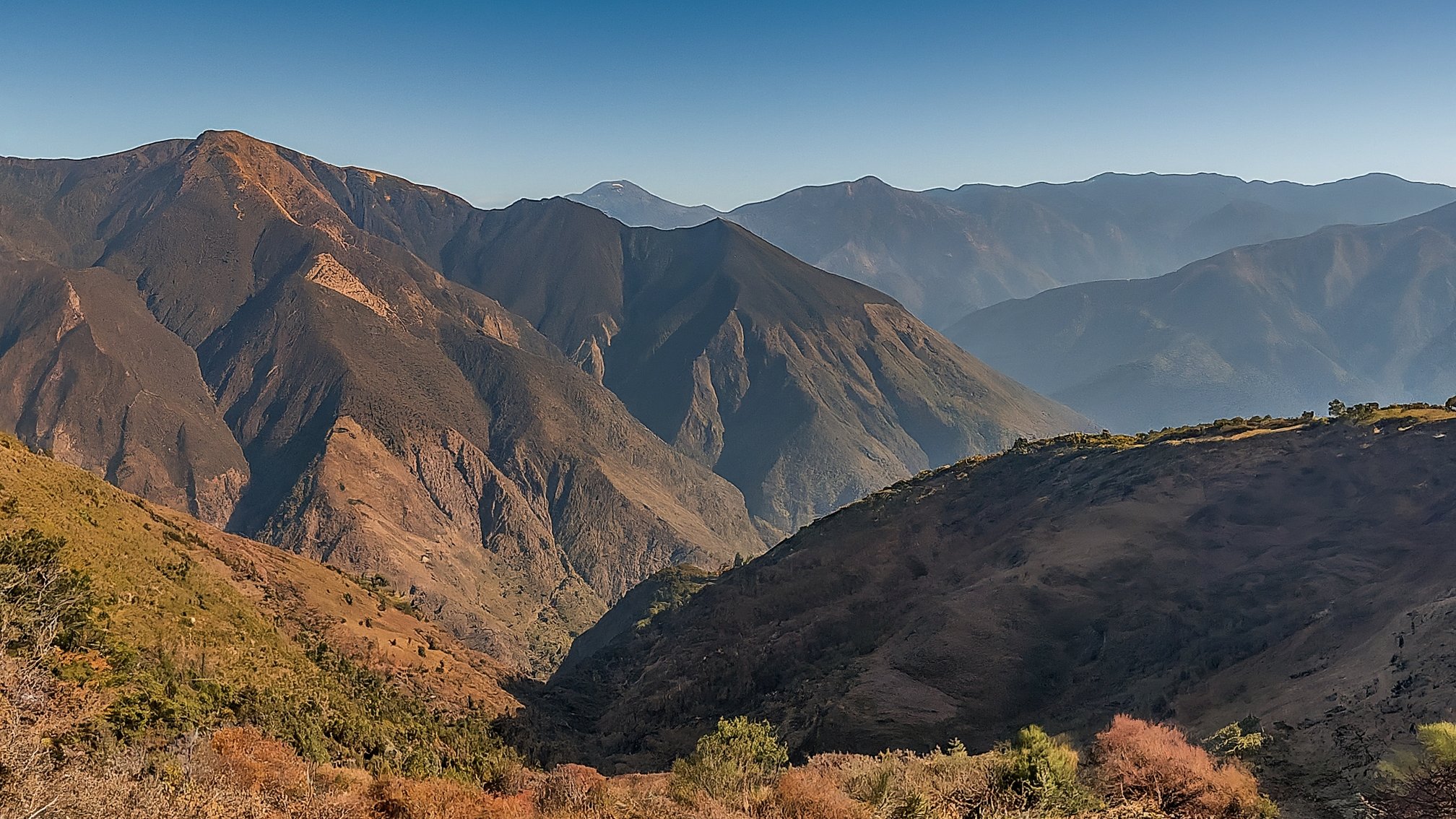 Dhanachuli neighbourhood