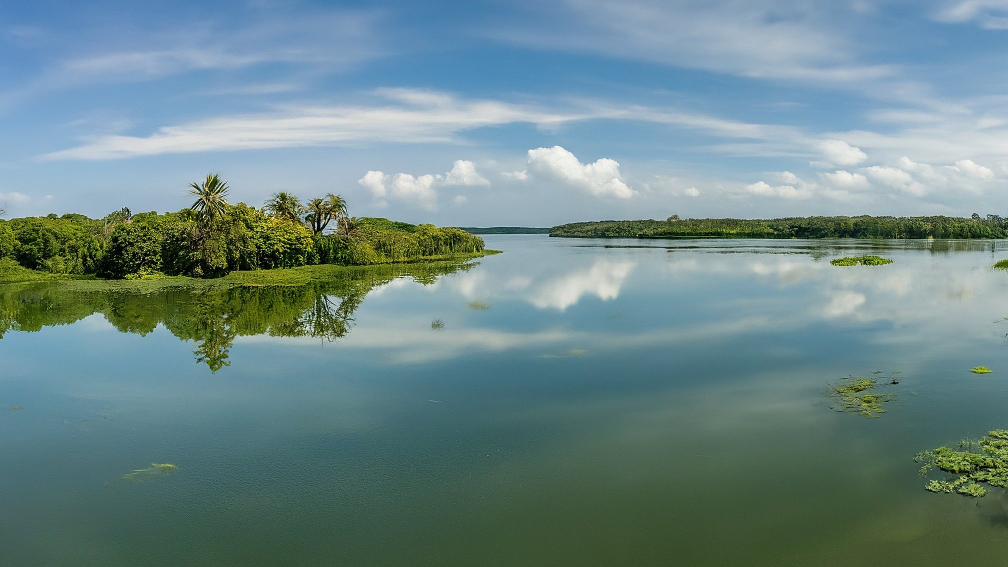 Kadamakkudy neighbourhood