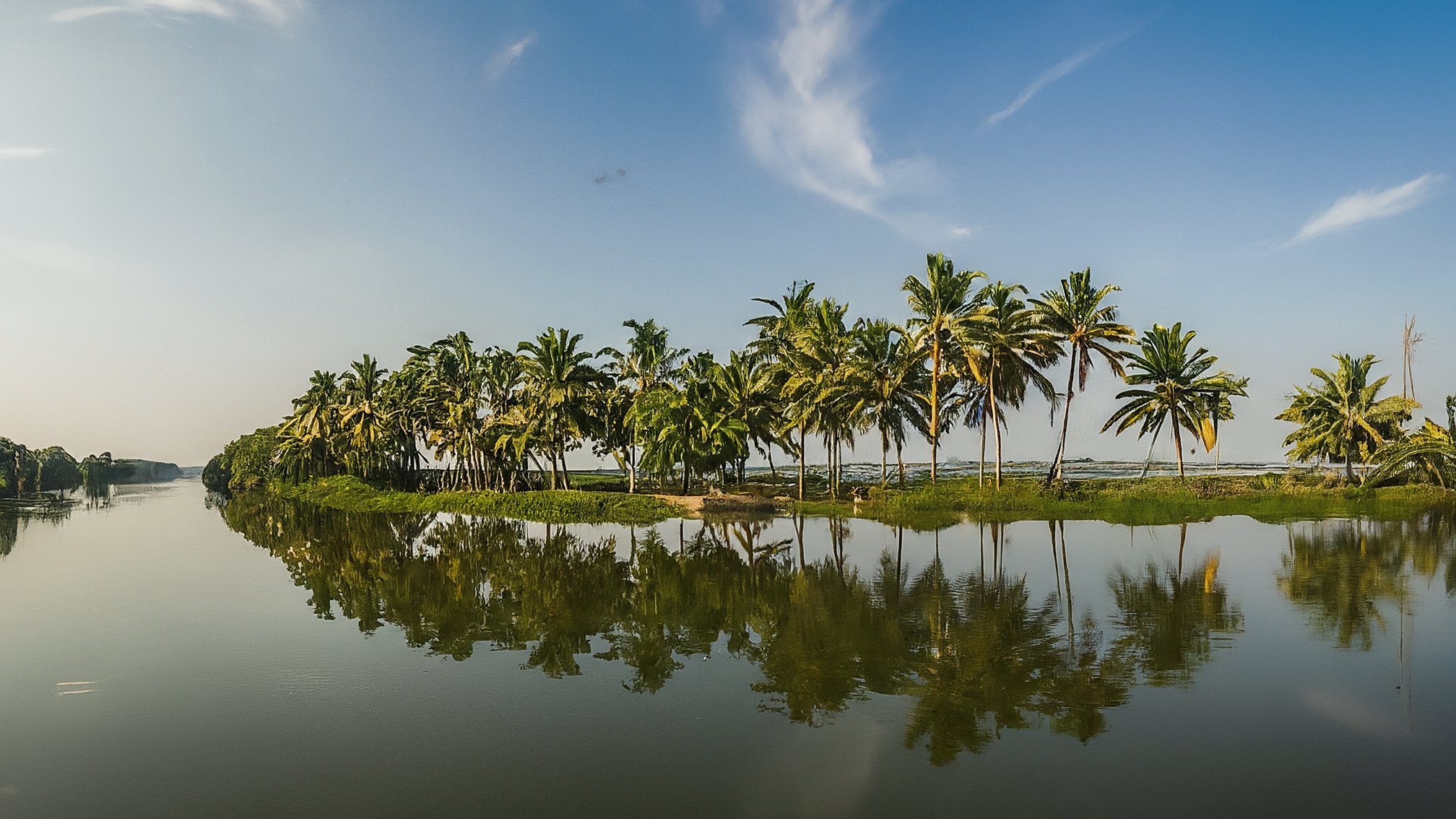 Kadamakudy neighbourhood