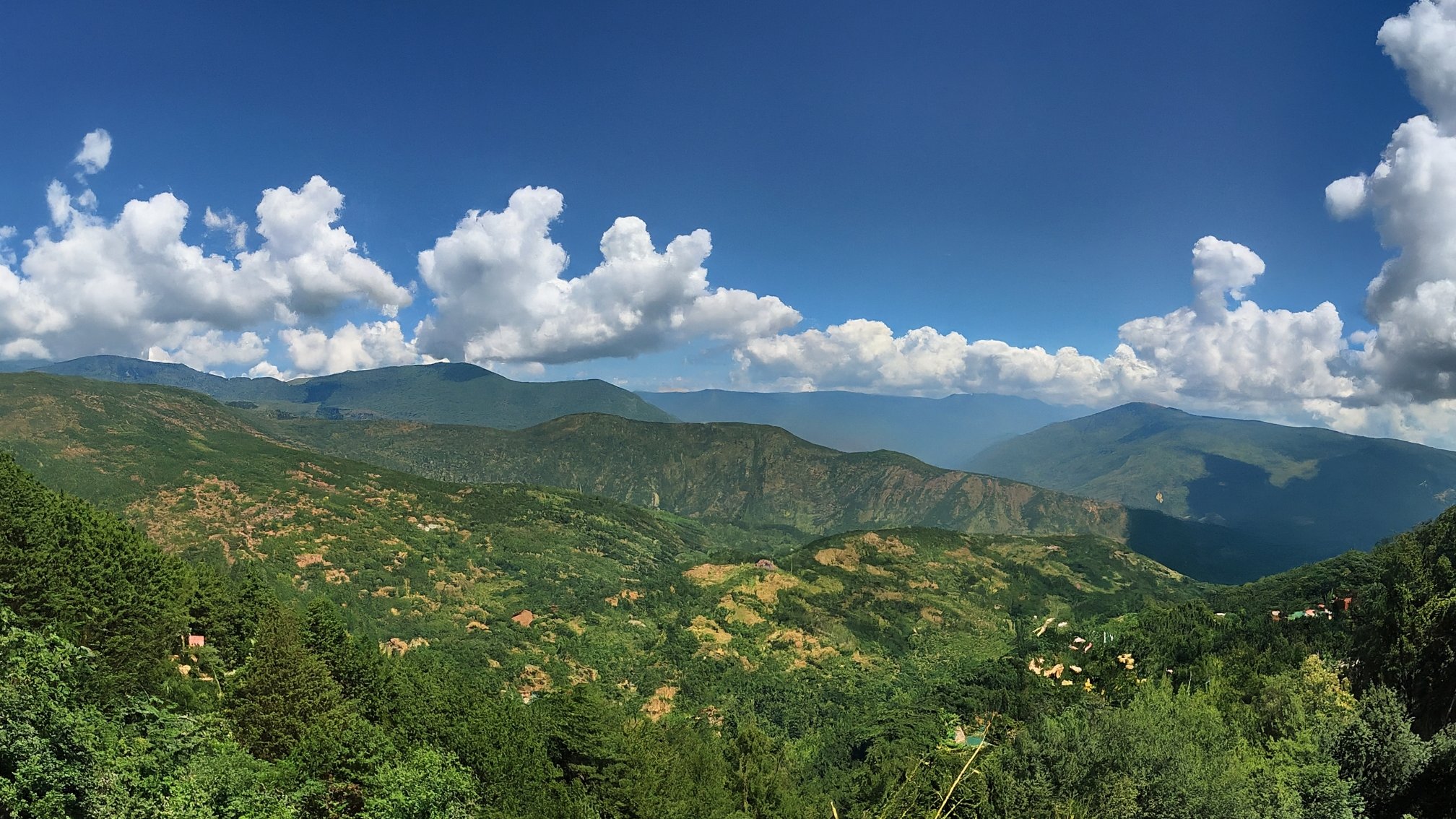 Mukteshwar neighbourhood