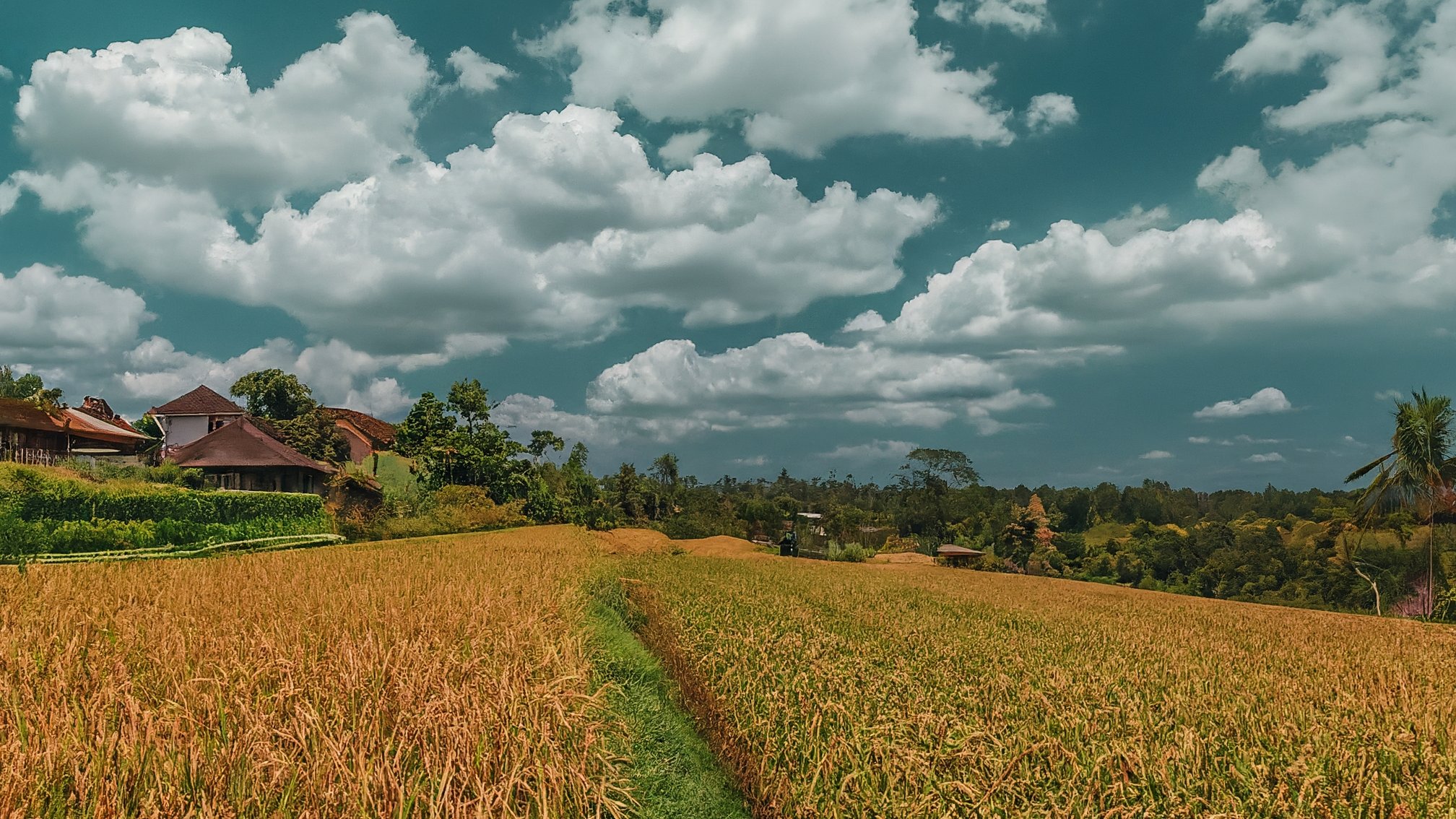 Ubud neighbourhood