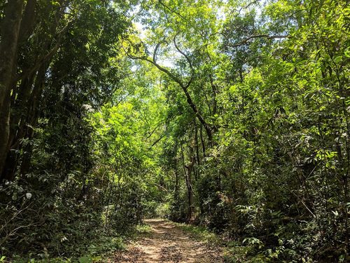 Cotigao Wildlife Sanctuary