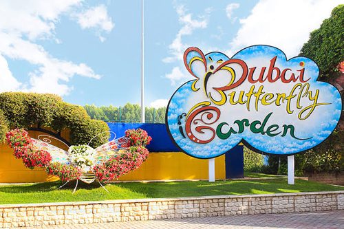 Dubai Butterfly Garden