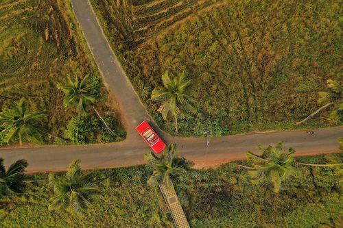 Parra Coconut Tree Road (Dear Zindagi Road)
