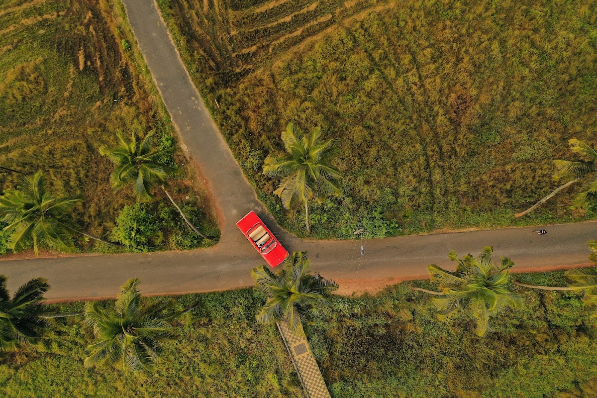 Parra Coconut Tree Road (Dear Zindagi Road)