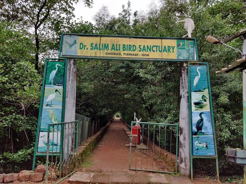 Dr. Salim Ali Bird Sanctuary