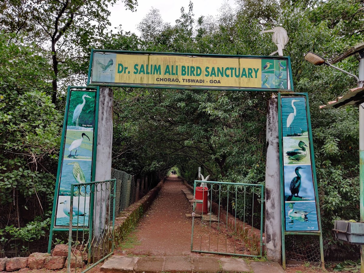 Dr. Salim Ali Bird Sanctuary