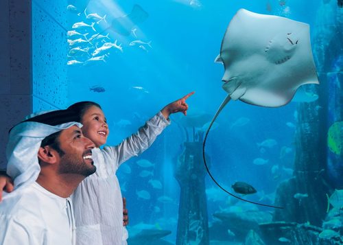 The Lost Chambers Aquarium