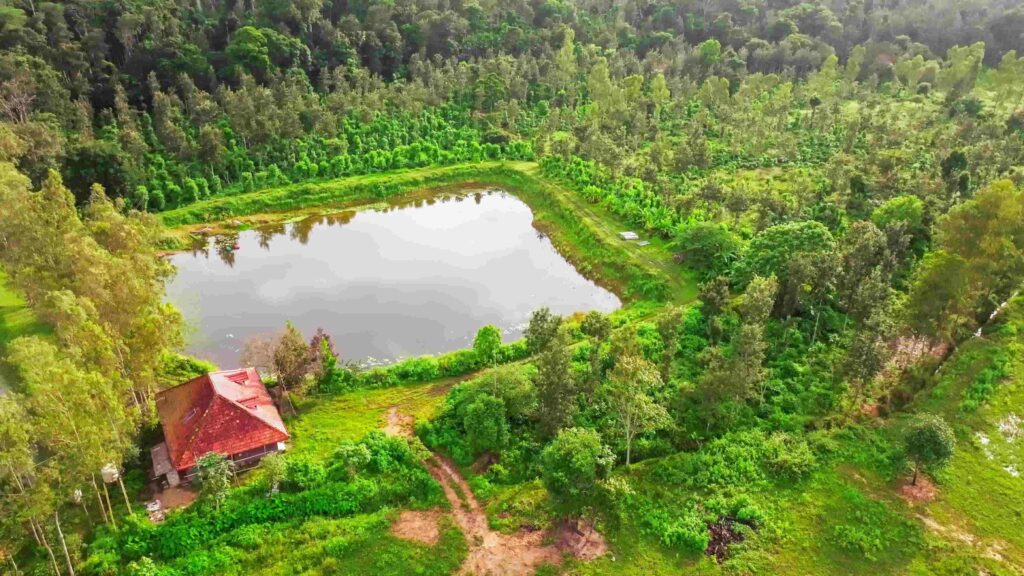 Ecopia, Managed Farmland, in Gonikoppa, Coorg, photo 1