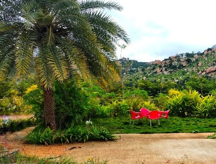 Legacy, Managed Farmland, in Bagepalli, Bengaluru, photo 1