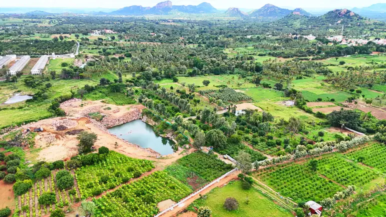 Brindavan