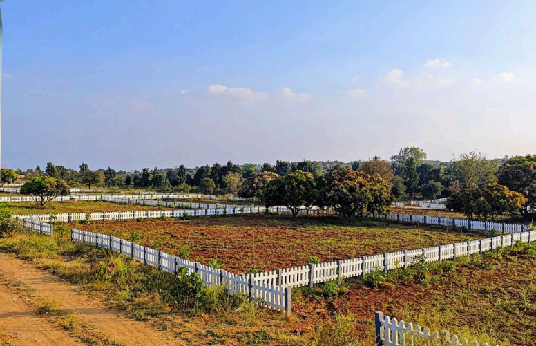Forest Breeze, Managed Farmland, in hosur, Tamil Nadu, photo 1