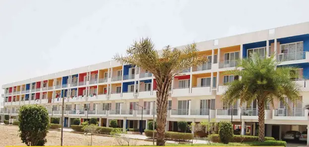 Dream Terraces