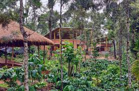 Sannidhi Eco Farms, Managed Farmland, in sakleshpura, Karnataka, photo 1