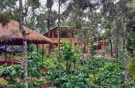 Sannidhi Eco Farms