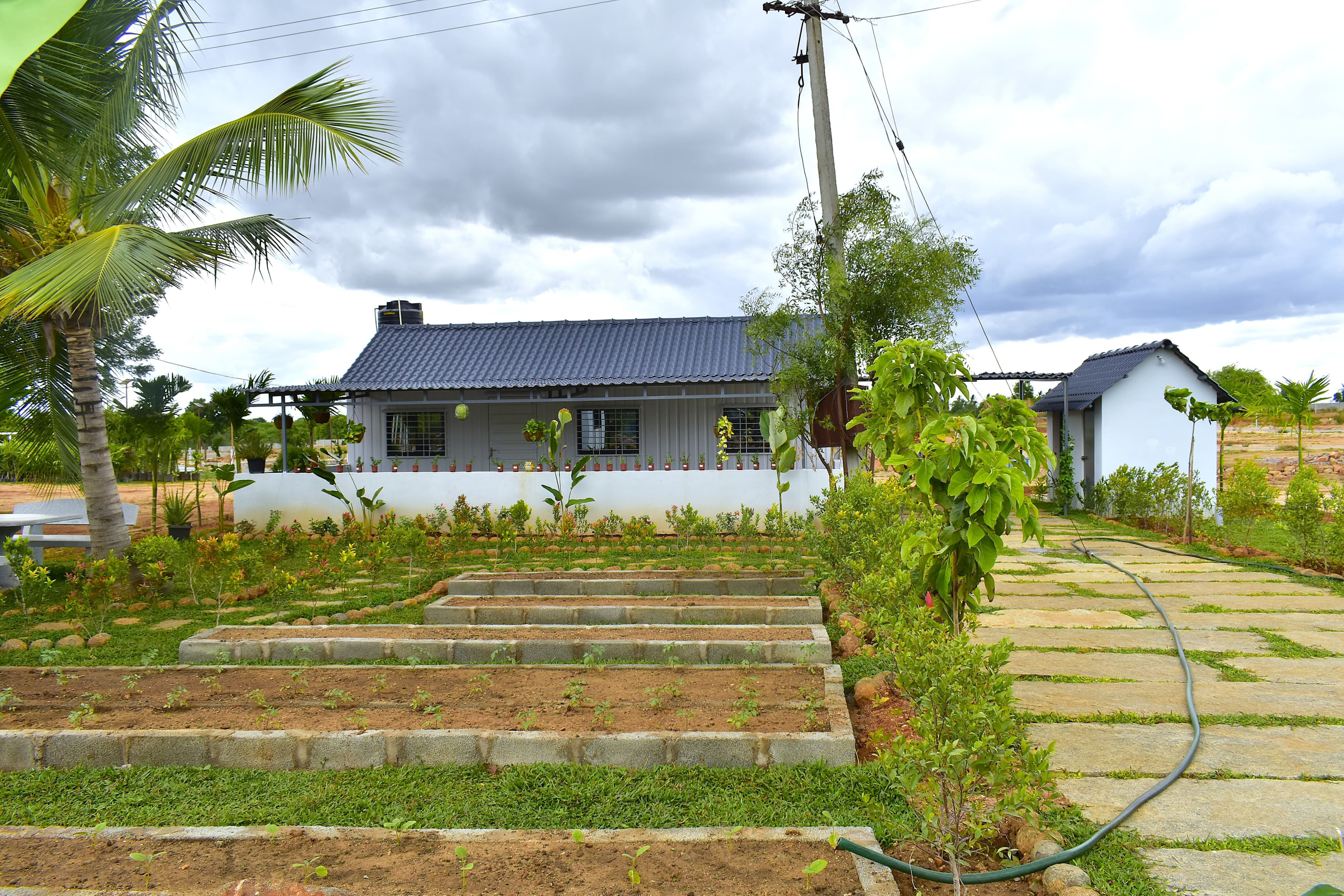 Tarini Farms