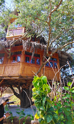 Divine Groove, Managed Farmland, in athimugam, Tamil Nadu, photo 1