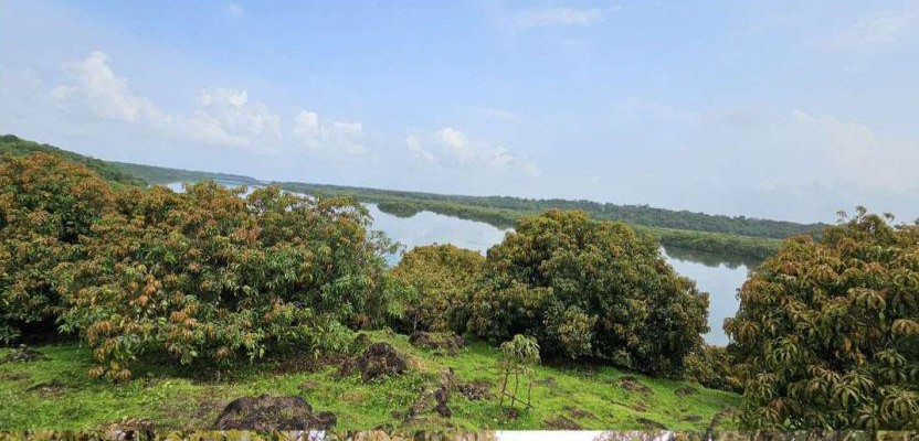 Tathastu Mango Valley