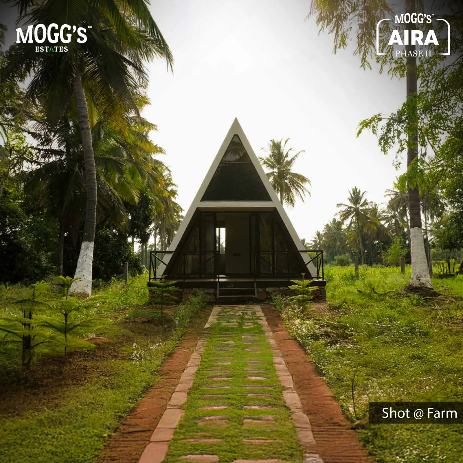 Mogg's Aira Phase 2