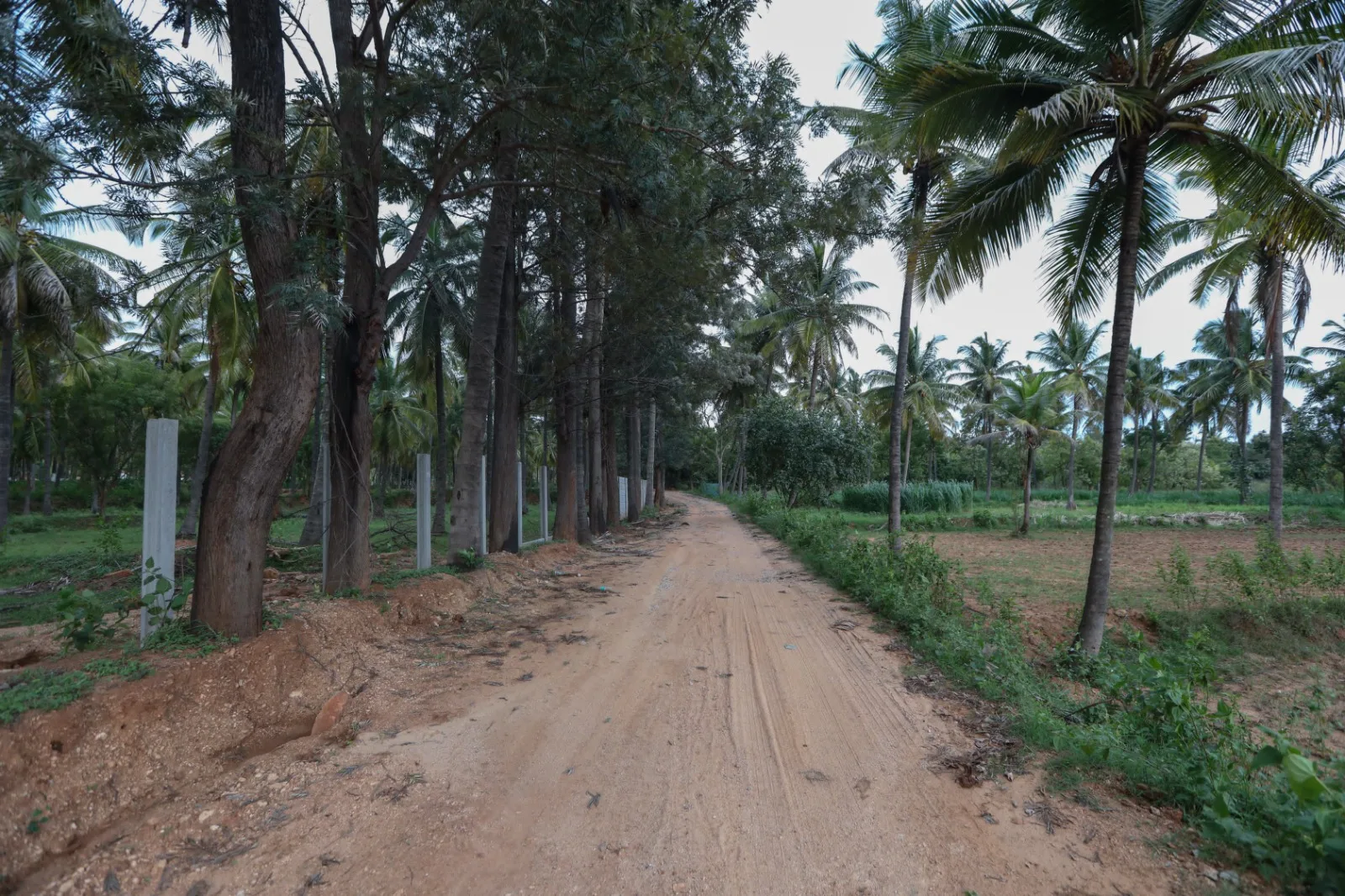 Saptashwa Jagati Farms