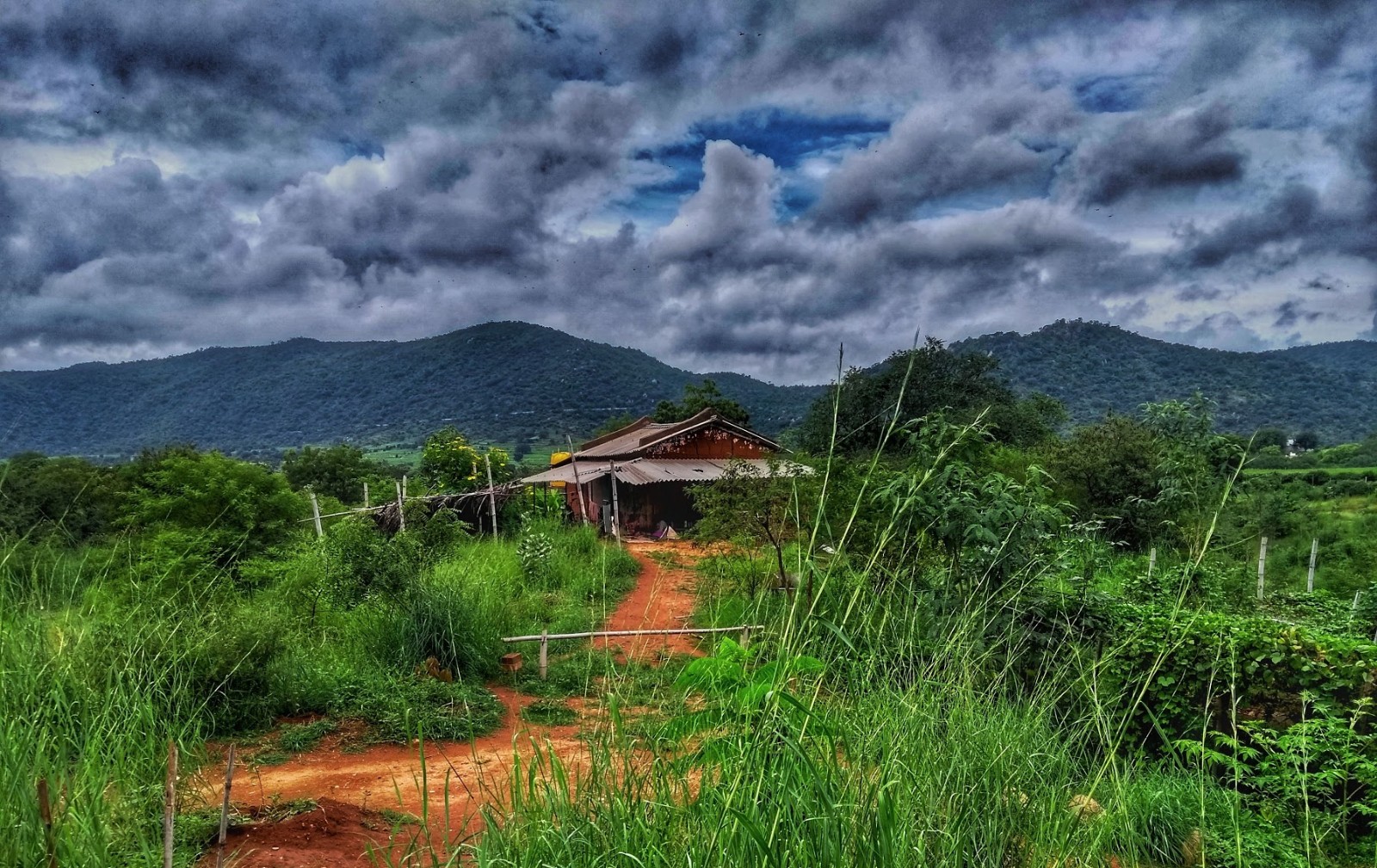 Rose Valley collective, Managed Farmland, in Thally, Chennai, photo 1