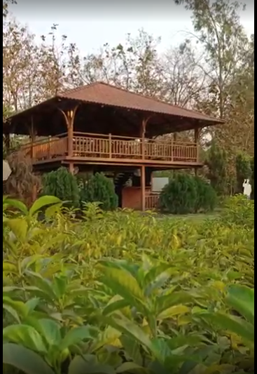 Wollywood, 1 BHK, Holiday Home, in Wada, Maharashtra, photo 1