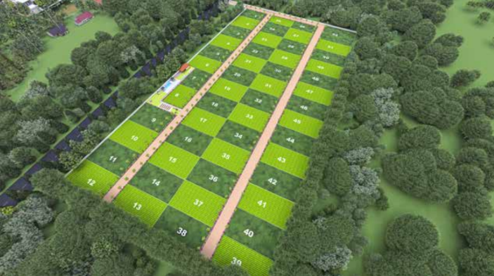 The Daffodils Farm, Managed Farmland, in Bagepalli, Bengaluru, photo 1