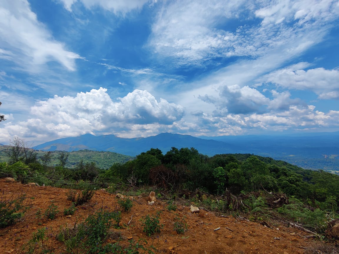 Heritage Sovereign, Managed Farmland, in Madikeri, Coorg, photo 1