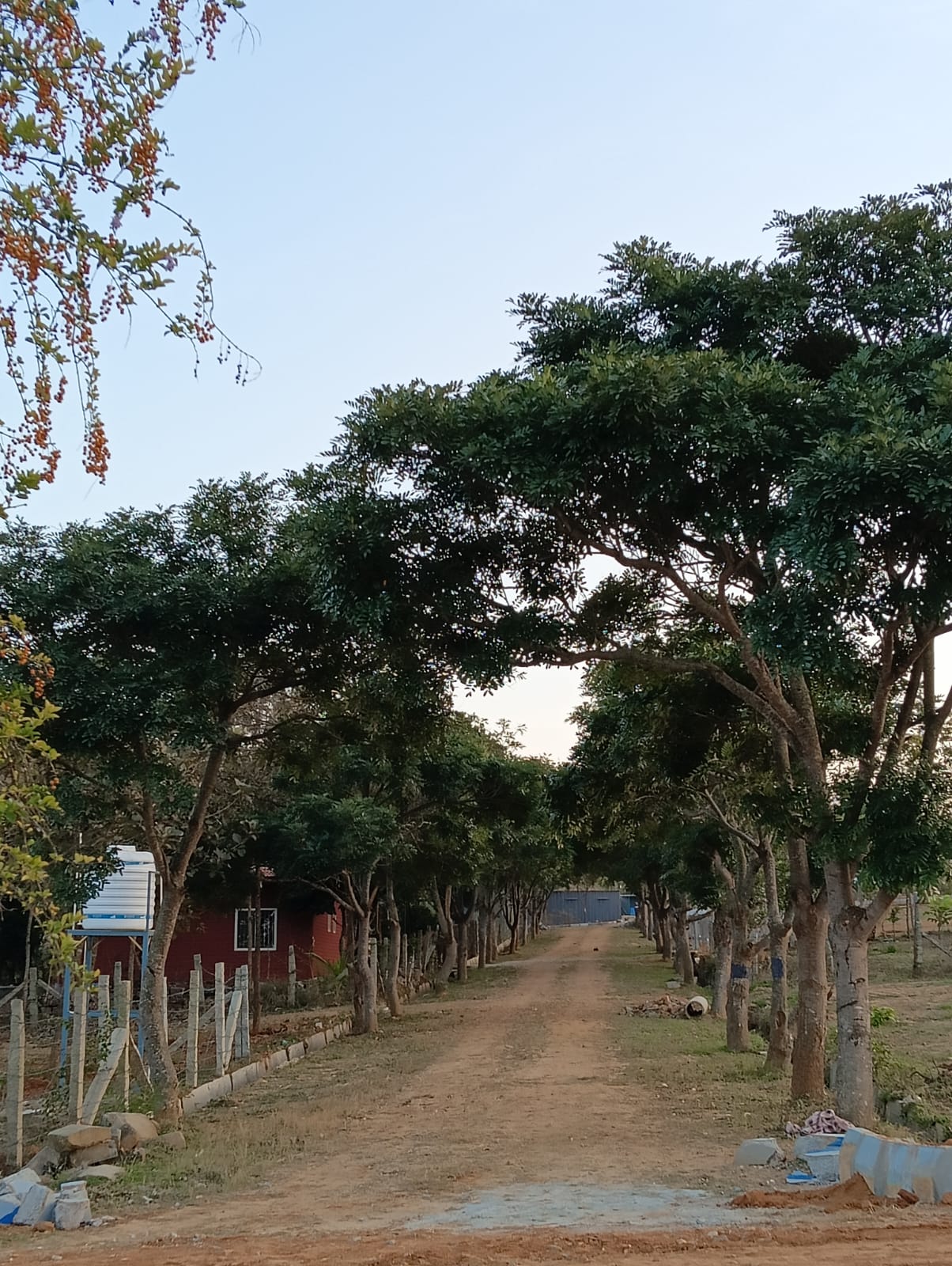 Avya Farms, Managed Farmland, in Anekal, Bengaluru, photo 1