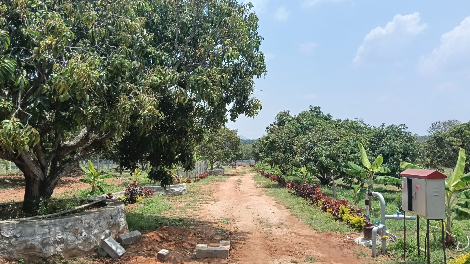 Sindhura Lake View, Managed Farmland, in Ramanagara, Bengaluru, photo 1