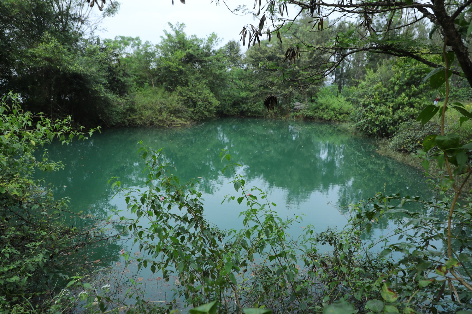 Prakruthi living estates, Managed Farmland, in Sakleshpura, photo 1